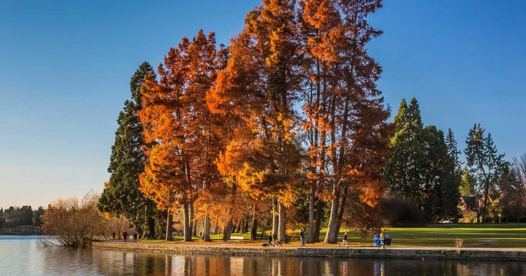 Green Lake in Autumn